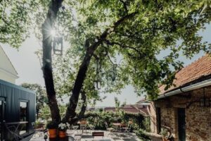 Zanedbaný farský dvor sa premenil na gastronomický raj. Ako jedna jabloň zmenila...