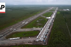 Sudca zvažuje, či „Alligator Alcatraz“ porušuje zákon o ochrane živo...