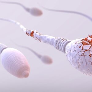 Antikoncepčná pilulka pre mužov sa blíži. Funguje na inom princípe než tie pre ž...