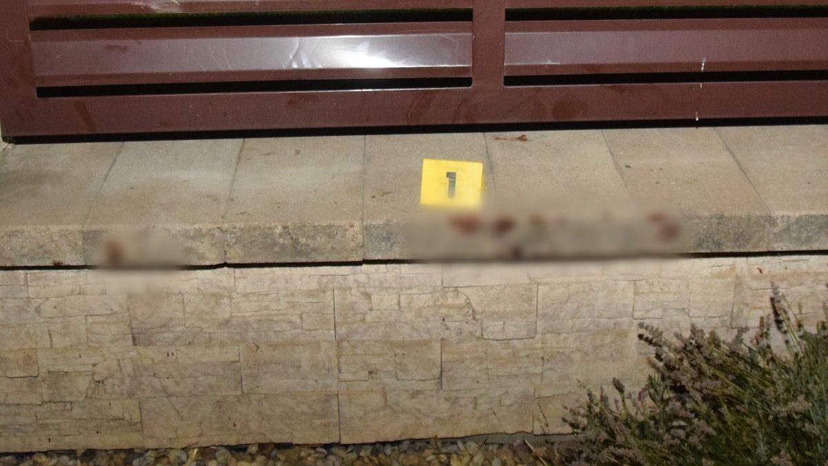 529948422_1167488658760343_4528894561731676341_n-e1754570562921.jpg Pes v Krušoviciach napadol na chodníku tri dievčatá.