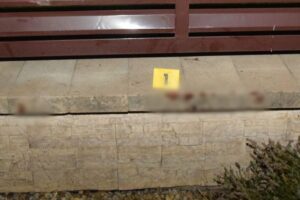 Pes v Krušoviciach napadol na chodníku tri dievčatá.