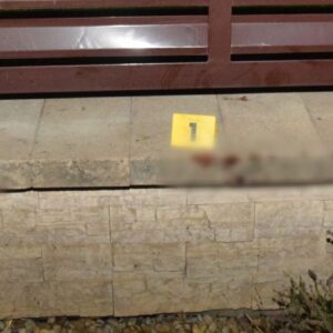 Pes v Krušoviciach napadol na chodníku tri dievčatá.