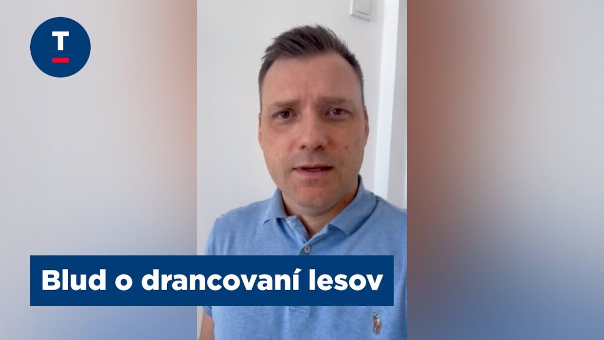 Taraba: Blud o drancovaní lesov