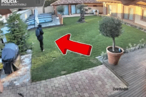 Malinovo, Most pri Bratislave a Zálesie chcú spoločnú obecnú políciu.