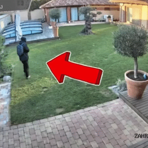 Malinovo, Most pri Bratislave a Zálesie chcú spoločnú obecnú políciu.