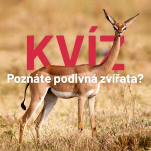 Vyzerajú smiešne, čudne a niektoré z nich sú lenivé. Poznáte zvieratá na obrázku...