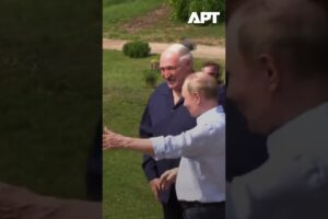 Srdečné prijatie: Putin hostí Lukašenka pri Petrohrade.