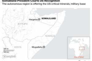 Ponuka Somalilandu Spojeným štátom americkým v oblasti kritických nerastných sur...