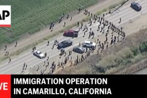 Federálni agenti vykonávajú imigračnú operáciu v Camarillo, Kalifornia