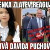 Lenka Zlatev reaguje na klamstvá Davida Puchovského ! TVOTV