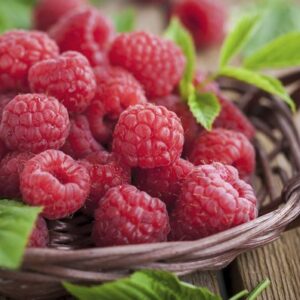 Prečo jesť maliny? Pomôžu schudnúť, zlepšiť zrak aj s prevenciou rakoviny