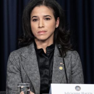 Vrcholná regulátorka kryptomien Adrienne Harris odstupuje z New York Department ...