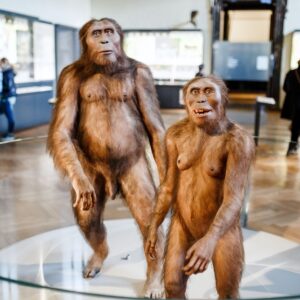 Nikdy to nebolo naše. Holandsko vráti Indonézii kosti Jávskeho človeka