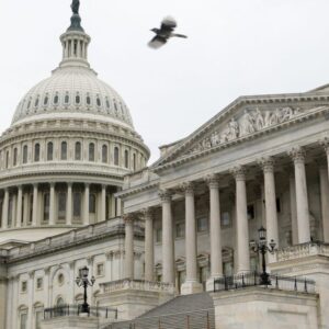 Zastavenie činnosti vlády by oddialilo správu o pracovných miestach v kritickom ...
