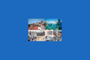 UFO v Provence: Prípad Valensole zostáva aj po 60 rokoch nevyriešenou záhadou