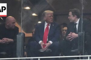 Elon Musk sedí vedľa Trumpa na spomienkovej akcii Charlieho Kirka