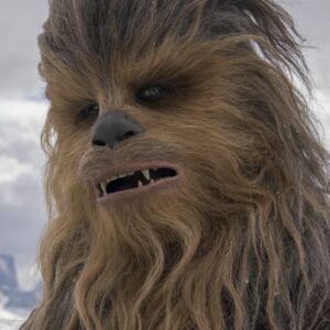 V hlbinách mora našli Chewbaccu. Pozrite si unikátneho tvora, ktorý sa volá podľ...