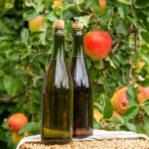 Po otrave ciderom zomrelo 50 ľudí. Výrobca použil lieh ukradnutý z policajného s...