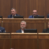 Konsolidačný balíček posunul parlament do druhého čítania.