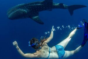 Ľudia majú násobne lepší čuch ako žraloky, ovšem len na jedinú vec. Kdysi nám po...