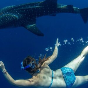 Ľudia majú násobne lepší čuch ako žraloky, ovšem len na jedinú vec. Kdysi nám po...
