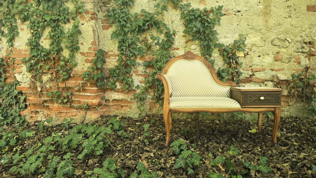 Martin Andraško: Mojím cieľom bolo nájsť dokonalú kulisu na fotenie telefónneho stolíka. Hľadal som miesto, kde sa jeho zrepasovaná tvár prepojí s prírodou, a našiel som ho pri starom, ošarpanom tehlovom plote. Hra fa