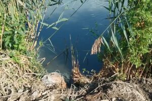 Vo Veľkom Šariši hynuli ryby pre nedostatok kyslíka v rybníkoch.