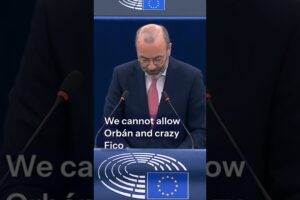 Obrana Európy – Weber: „Nacionalisti nie sú patrioti, hrajú za Moskvu!“