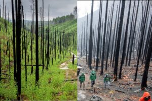 Najväčší požiar v histórii NP České Švajčiarsko. Boj so živlom, ktorý premenil k...