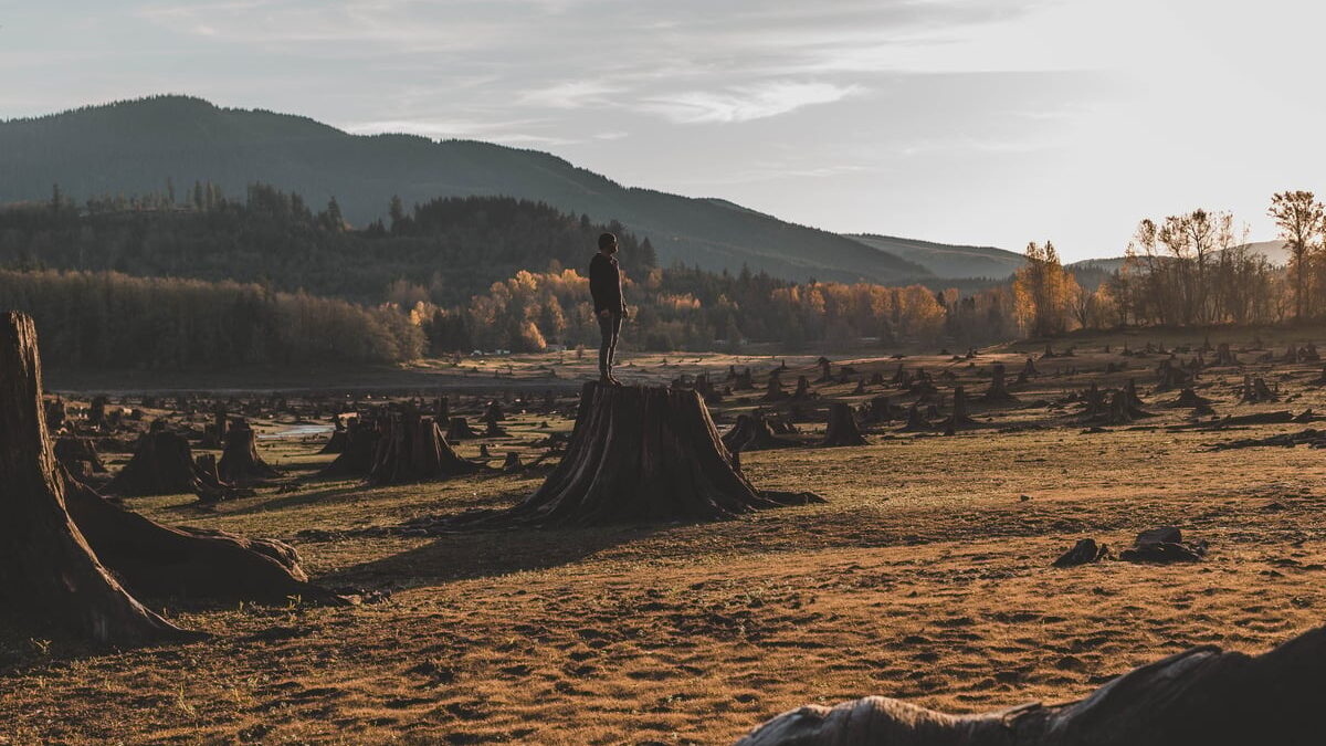 Podnikatelia a vedci varujú, že „zjednodušovanie“ EÚ ohrozuje klimatické ciele a konkurencieschopnosť.