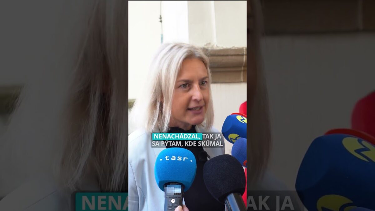 Ako je to s talianskym profesorom, ktorý prišiel skúmať bustu?