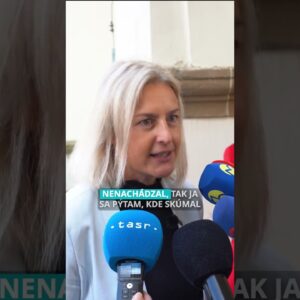 Ako je to s talianskym profesorom, ktorý prišiel skúmať bustu?