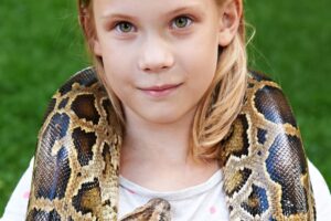 Hroznýš kráľovský už pri hraní zabil cez 20 detí. Zo smrtiaceho zovretia sa dá d...