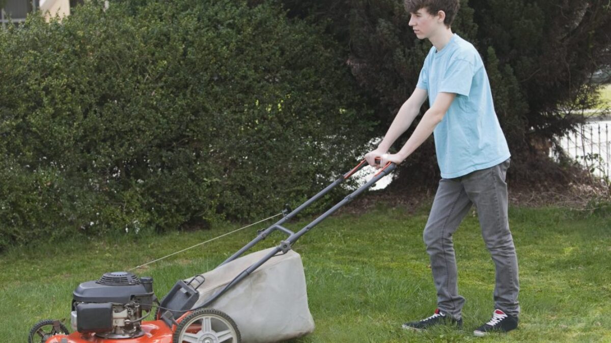 Umelá inteligencia mi povedala smiešne nepravdy o práci Elona Muska v záhradníckej firme v detstve – a prečo na tom záleží na Sviatok práce.