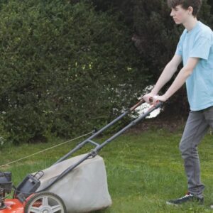 Umelá inteligencia mi povedala smiešne nepravdy o práci Elona Muska v záhradníck...