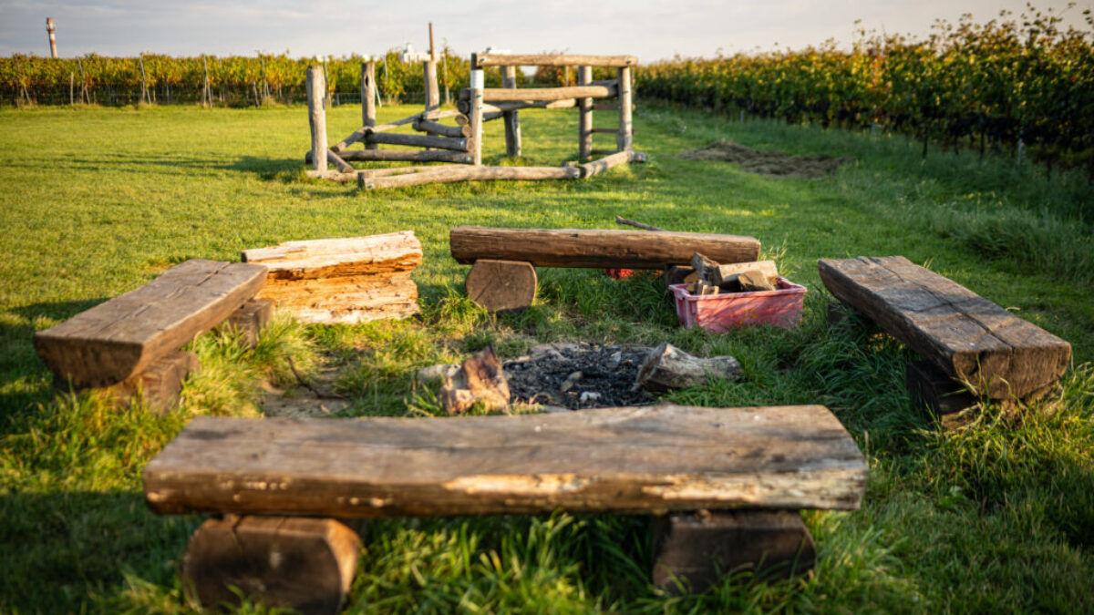 BSK: Tip na výlet:  Zlatá minulosť Pezinka