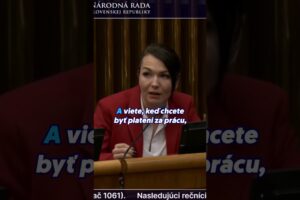 Vyjadriť sa k veci, to nie. Ale vykrikovať na vystupujúcich to vedia | Beáta JUR...