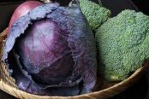 Viete, ako skladovať ovocie a zeleninu? Viete, ako skladovať ovocie a zeleninu?