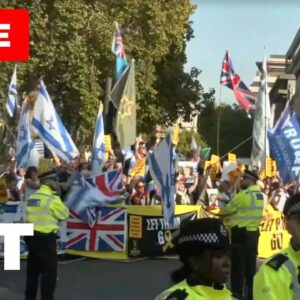 Tisíce ľudí sa v Londýne zúčastnili propalestínskeho protestu.