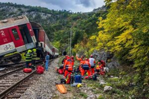 Slovensko: Pri zrážke vysokorýchlostného vlaku na Slovensku sa zranili desiatky ...