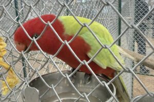 Commenting has been turned off for this post.