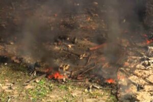 Vybuchla továreň na muníciu pre armádu, zahynulo 16 ľudí a nikto neprežil.