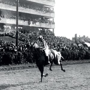 Žena, ktorá sa nehodila. A predsa prepísala históriu Veľkej pardubickej