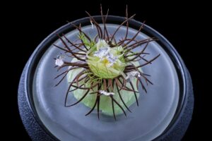 V Tritone vyčíňal diabol. Také hriešne menu ste ešte nejedli.