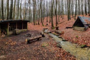 Tip na výlet: Objavte krásu bratislavského potoka Vydrica BSK: Tip na výlet: Objavte krásu bratislavského potoka Vydrica