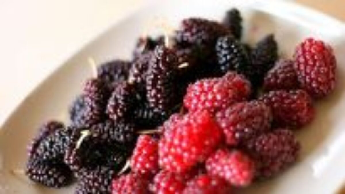 Niektoré potraviny dokážu liečiť. A viete ako?