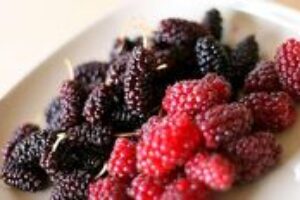 Niektoré potraviny dokážu liečiť. A viete ako? Niektoré potraviny dokážu liečiť. A viete ako?