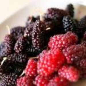 Niektoré potraviny dokážu liečiť. A viete ako?