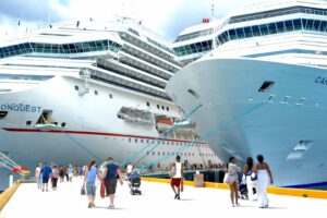 Podľa tohto experta je „odrast“ najúčinnejším riešením pre nadmerný ...