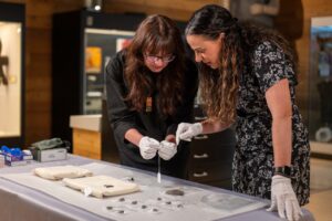 Starí Rimania v kanadskom sekáči? Nečakaný nález odštartoval historický výskum